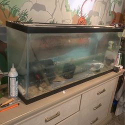 Fish Tank 