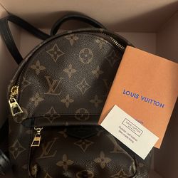 Louis Vuitto Mini Palm Springs Back Pack