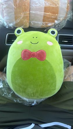 Squishmallow frog!!