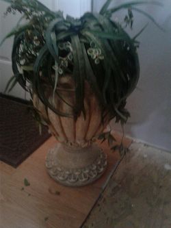 Planta artificial y vase