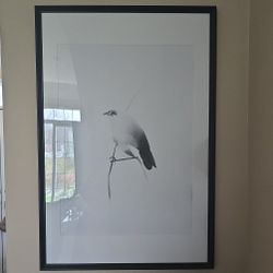 Large Framed Art Of Bird