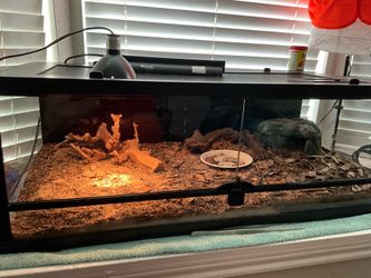 36x18 Bioactive Reptile Enclosure