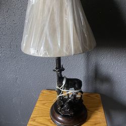 Lamp New