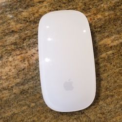 Apple Mouse 