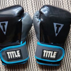 Title Boxing Gloves, Size Large