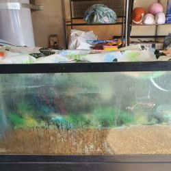 75 Gallon Aquarium 