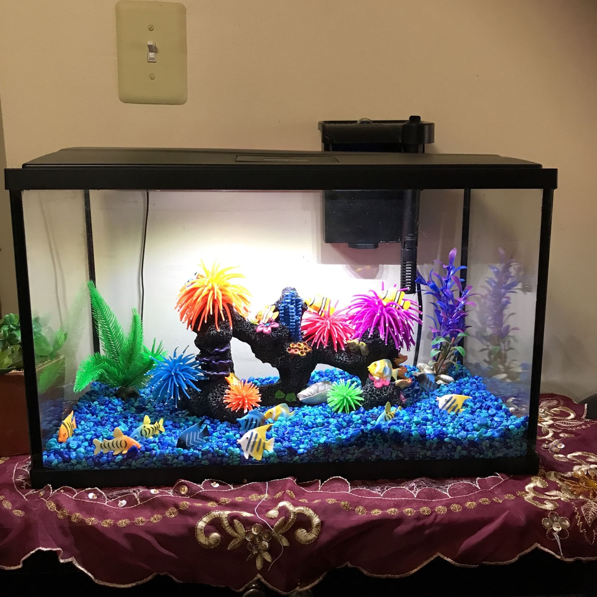 Fish Tank 