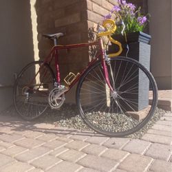 Vintage Trek Road Bike