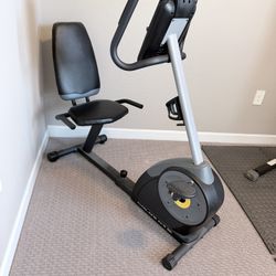 Gold’s Gym Bike