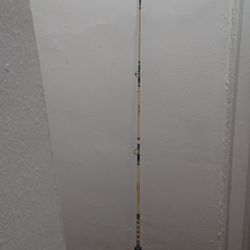 6 Ft Boat Rod Missing One Eye