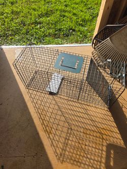 Animal trap