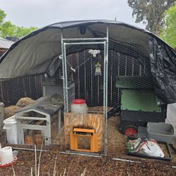 Greenhouse/Chicken Run
