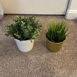 Fake Decorative Plants In Modern Planters