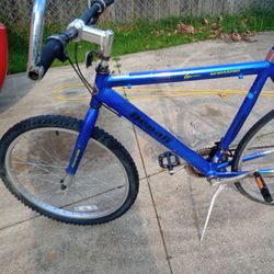 Denali Mountain Bike