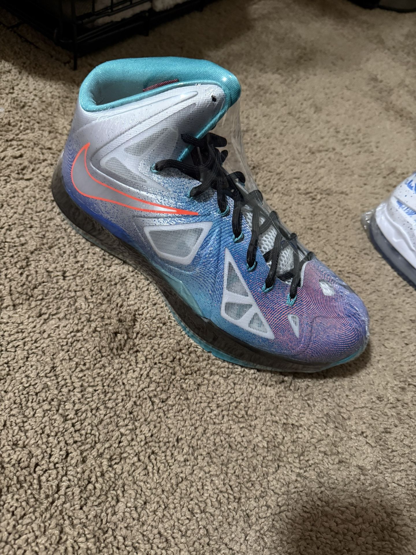 LeBron 10 Pure Platinum