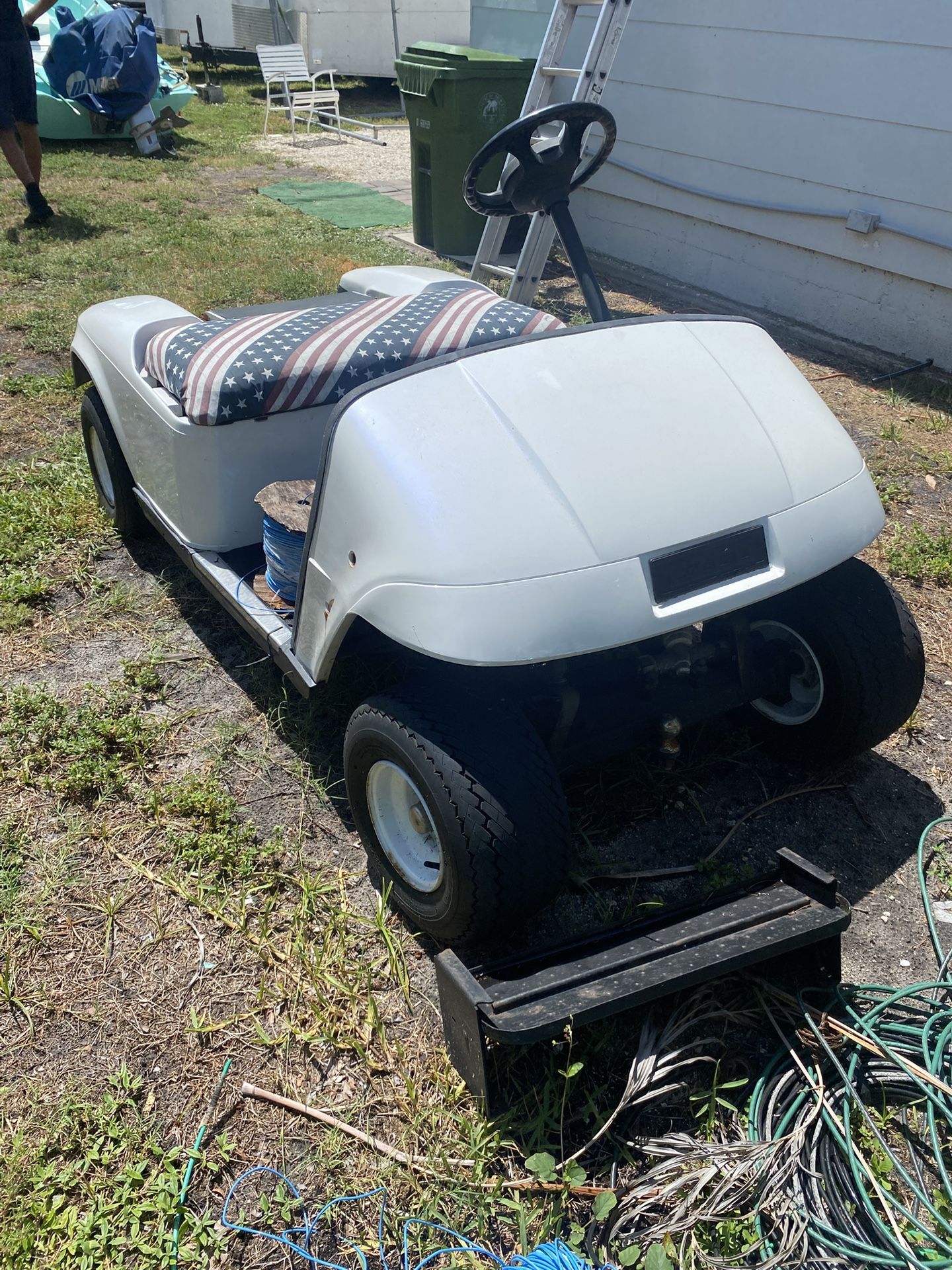 Electric Gold Cart