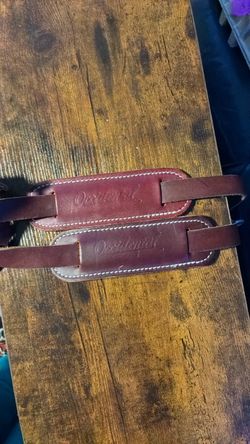 Horse Bridle