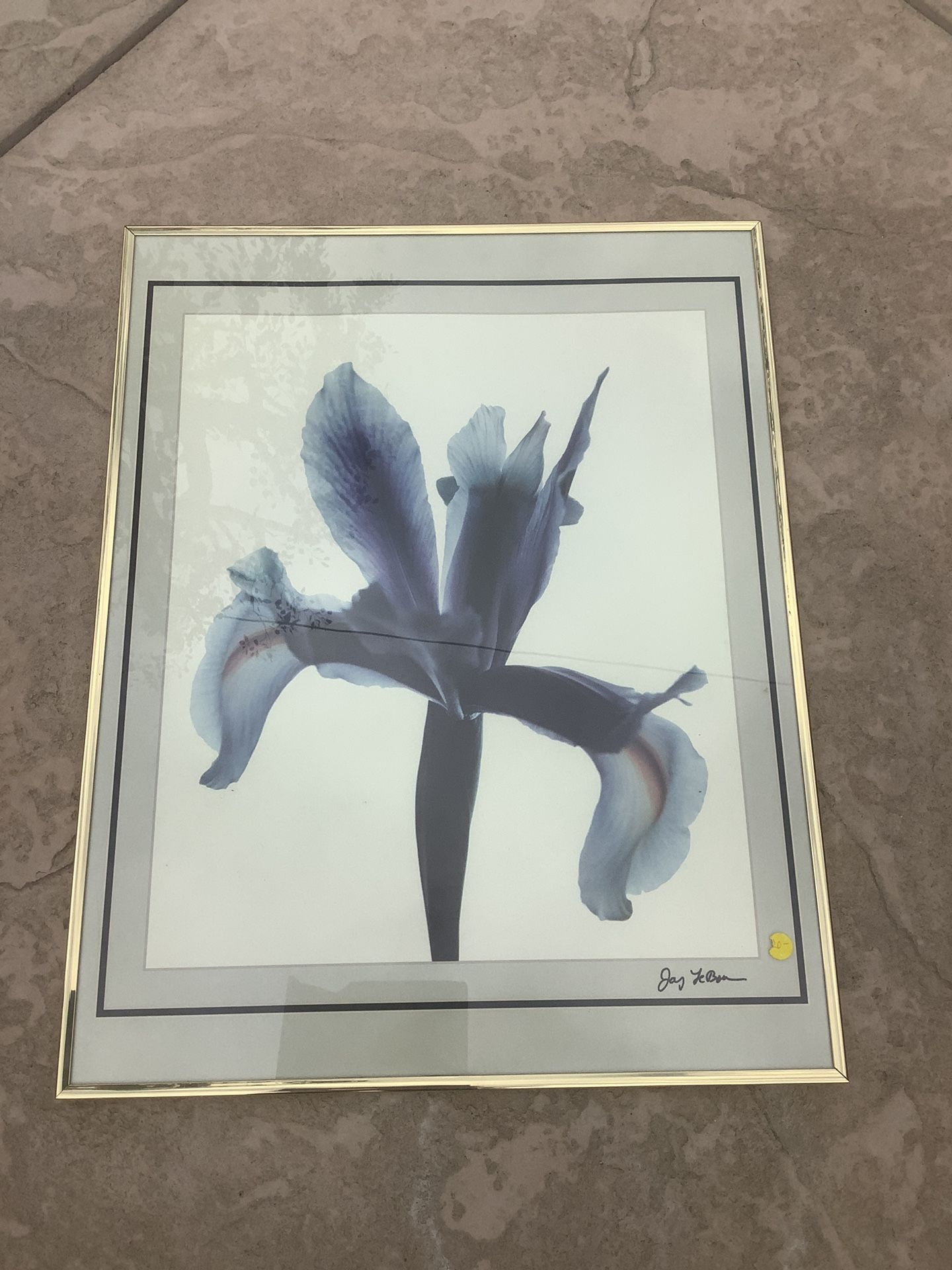 Framed Art Flower 28x22in
