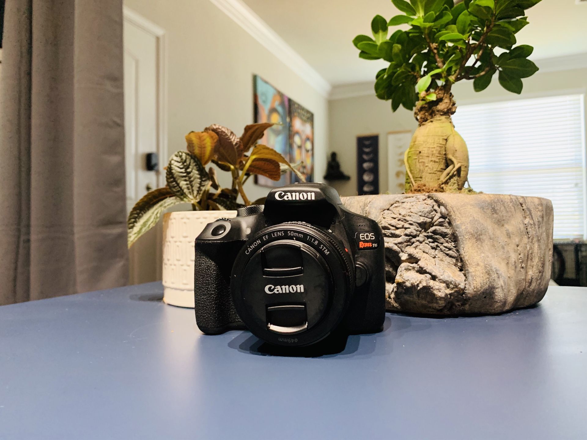 Canon EOS Rebel T6 -LIKE NEW —body only