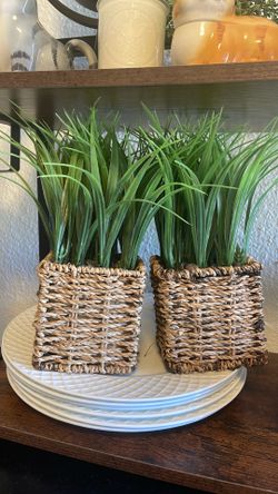 Faux Grass Plants in Woven Baskets Set of 2
