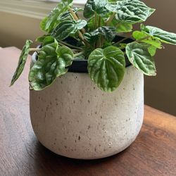 Unique Handmade Ceramic Speckled White Planter Pot