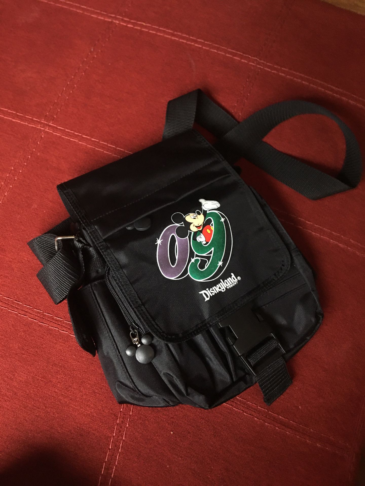 09 Disneyland Shoulder Bag