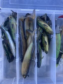 Minnow  And Bass Plastic Soft Baits 