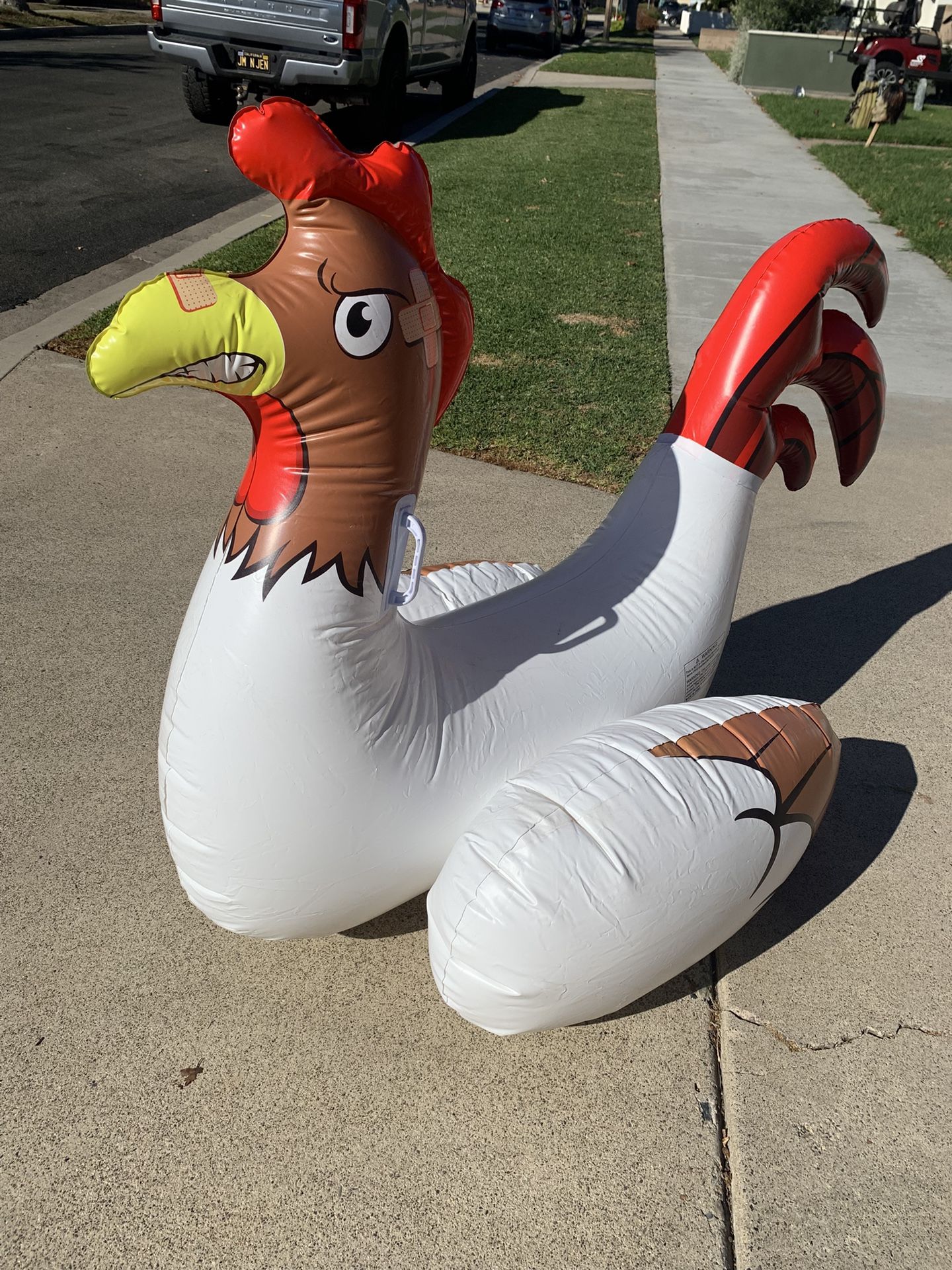 Chicken Fights for Pool