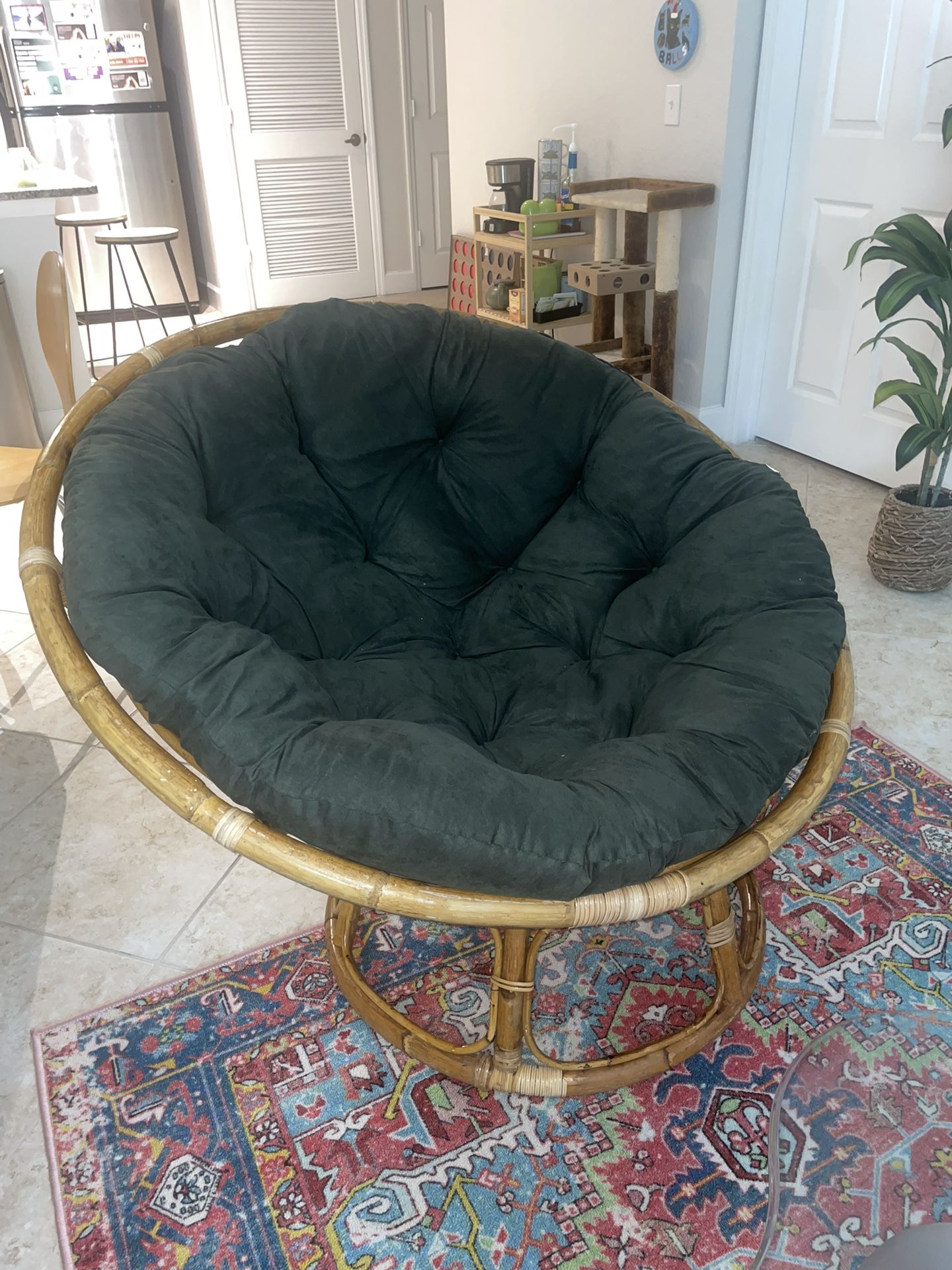Papasan chair frame + cushion