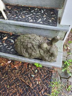 Cement rabbit