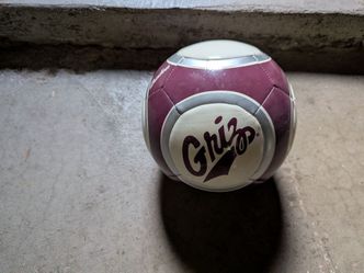 Size 5 kids soccer ball (Montana Grizzlies)