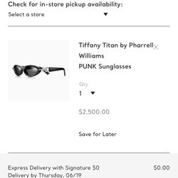 Tiffany Punk Sunglasses 