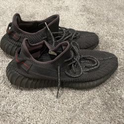 Yeezy Size 12