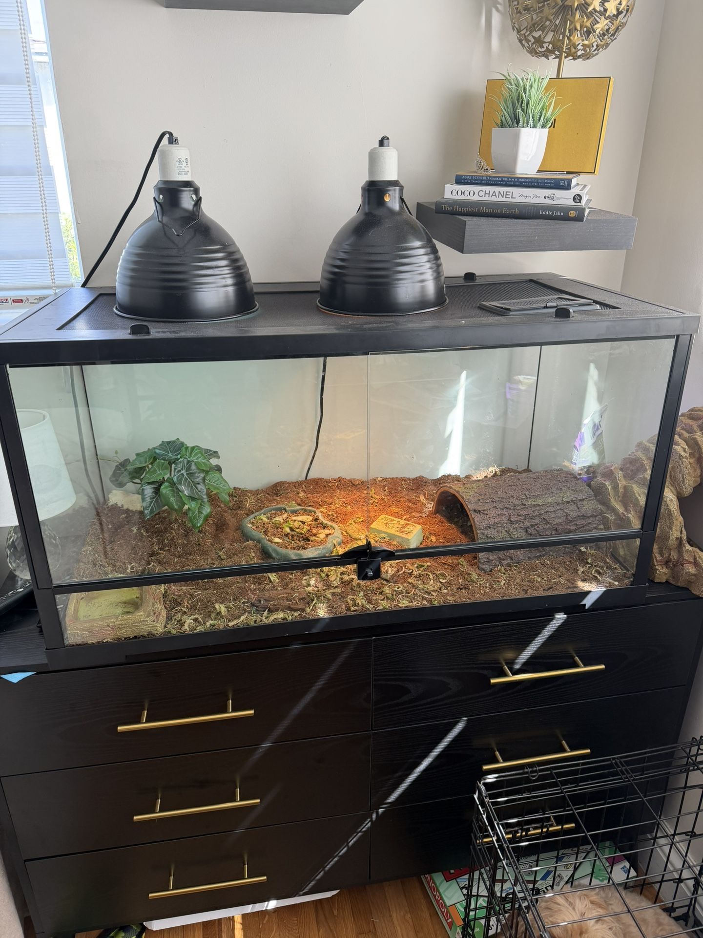 Tortoise Enclosure Tank