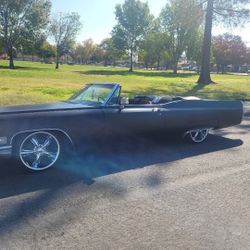 Ready For The Summer