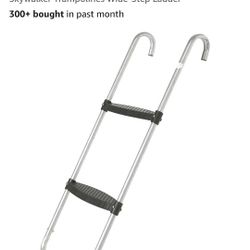 Trampoline Ladder
