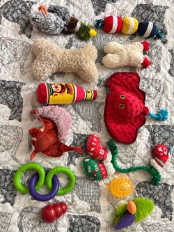 Dog Toy Lot