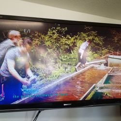 Sharp Aquos 65" TV