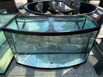 55 gallon bowfront with light