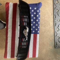 Mustang grill