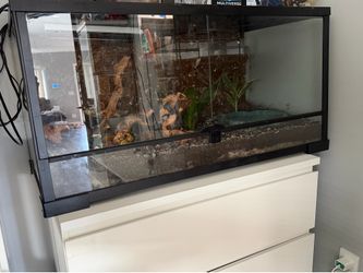 Reptile tank