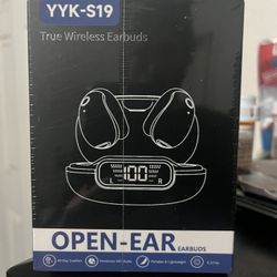 Wireless Earbuds with LED Digital Display Charging Case,