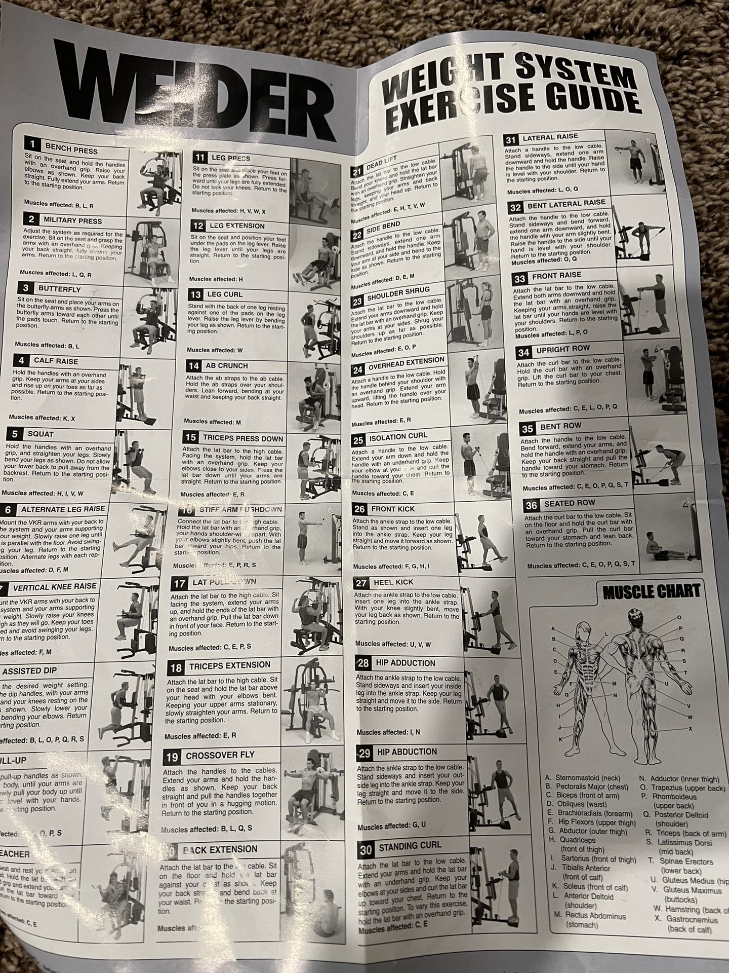 Home Gym Weight System for Sale in Tigard OR OfferUp