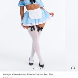 Woman’s Halloween Costume Alice In Wonderland 