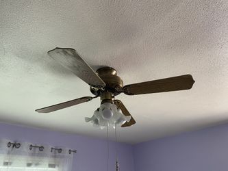 Ceiling fan