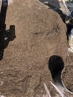 soil for plants /tierra para las plantas