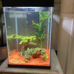 Fish Tank 10 Gal