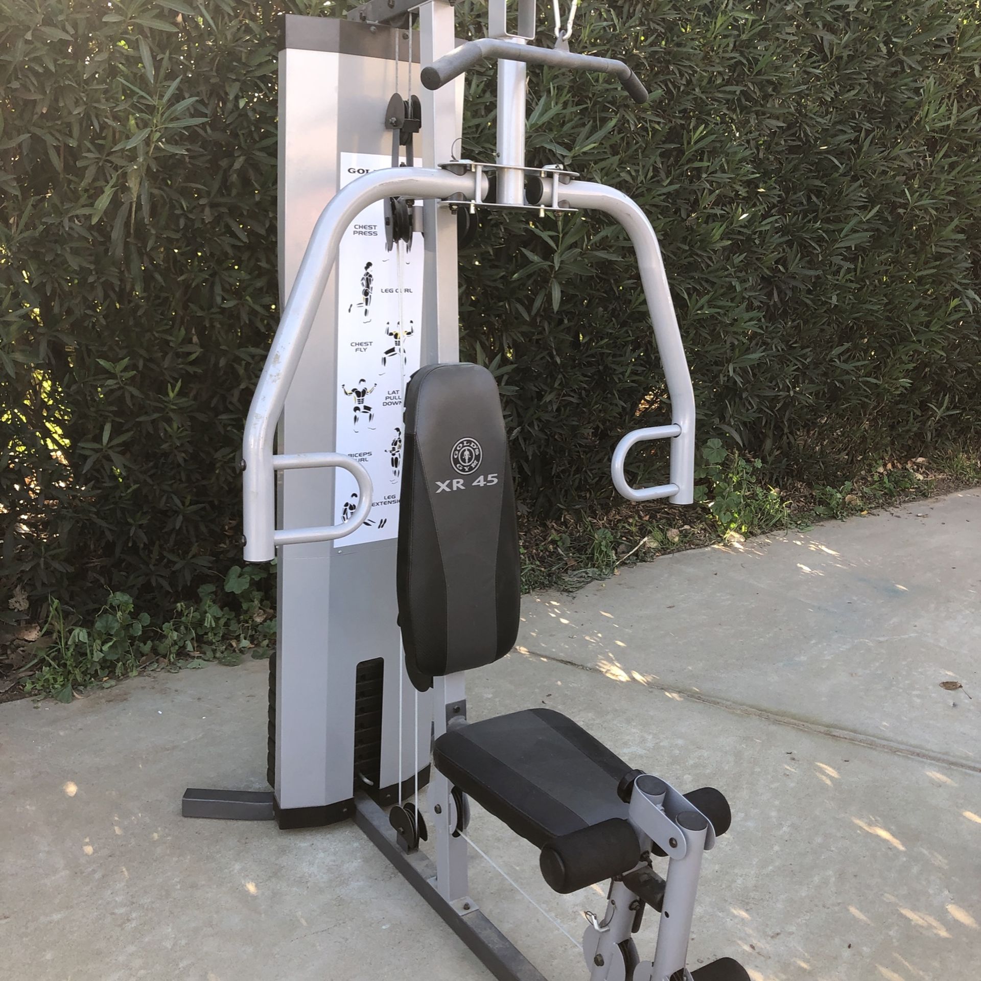 Xr 45 golds gym new arrivals