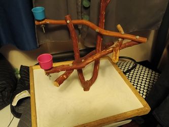 Bird playground