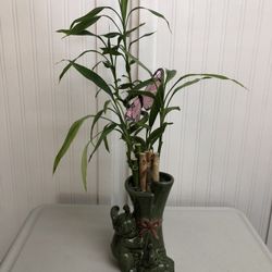 24” Bamboo Plant 